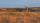 Public Land Is the Backbone of Upland Bird Hunting