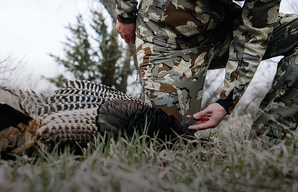 Top Five Turkey Hunting Gear Picks KUIU