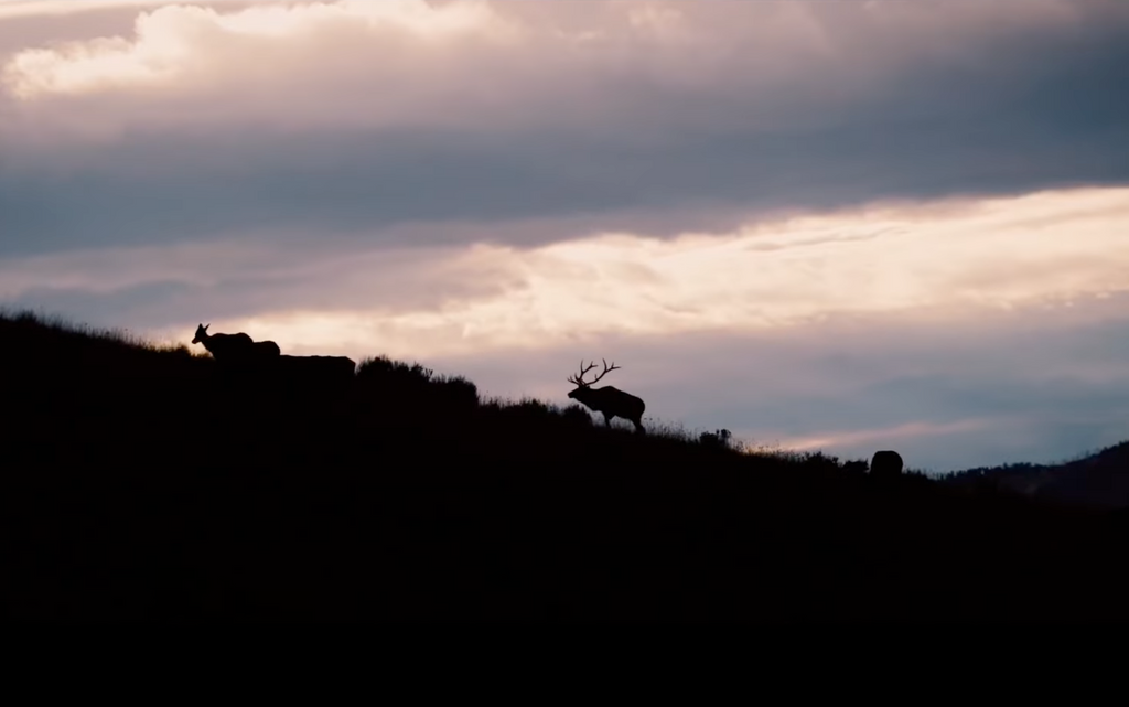 Make it Worth it Elk Hunt Video KUIU