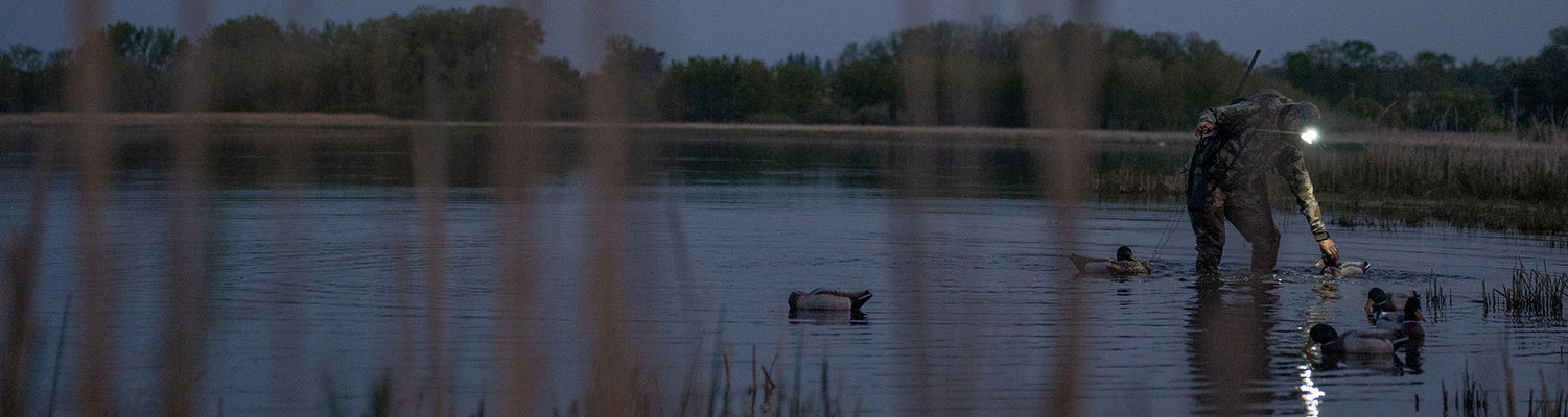 Waterfowl