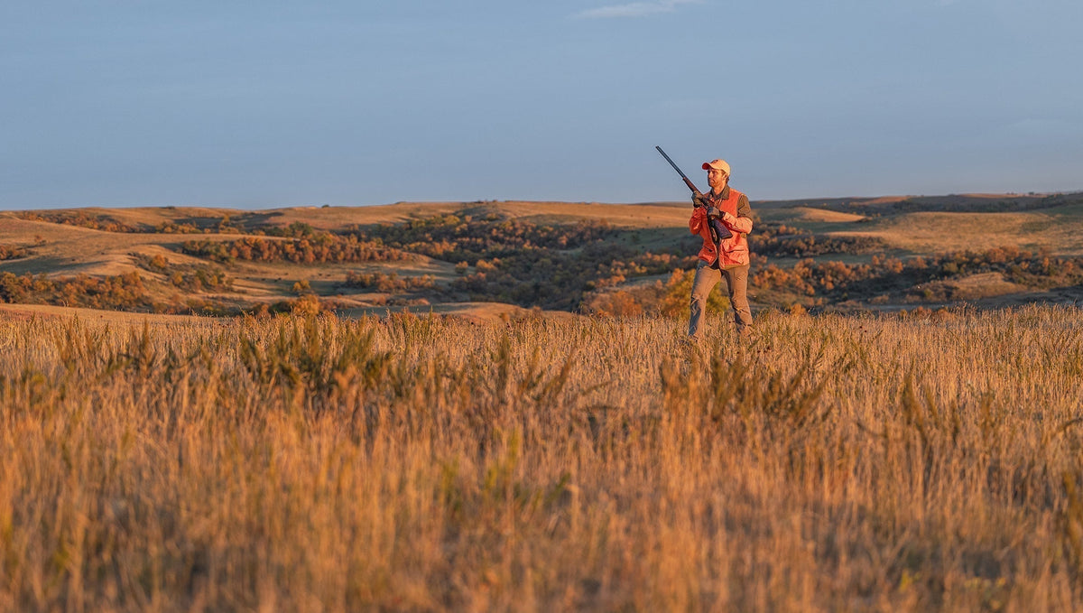 Public Land Is the Backbone of Upland Bird Hunting