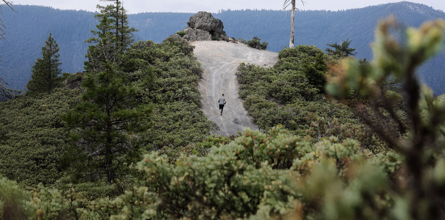 Fitness for the Hunt