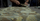 Behind the Seams: Proximity Polyester Knit Brushed Face Fabric in Valo Camouflage