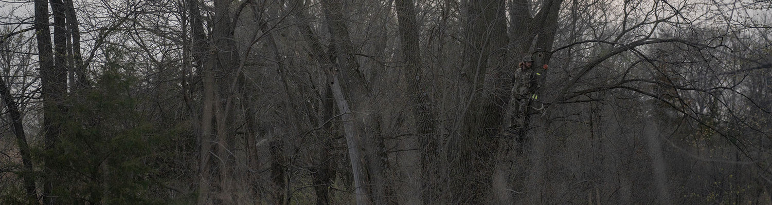 Whitetail: Cold Conditions