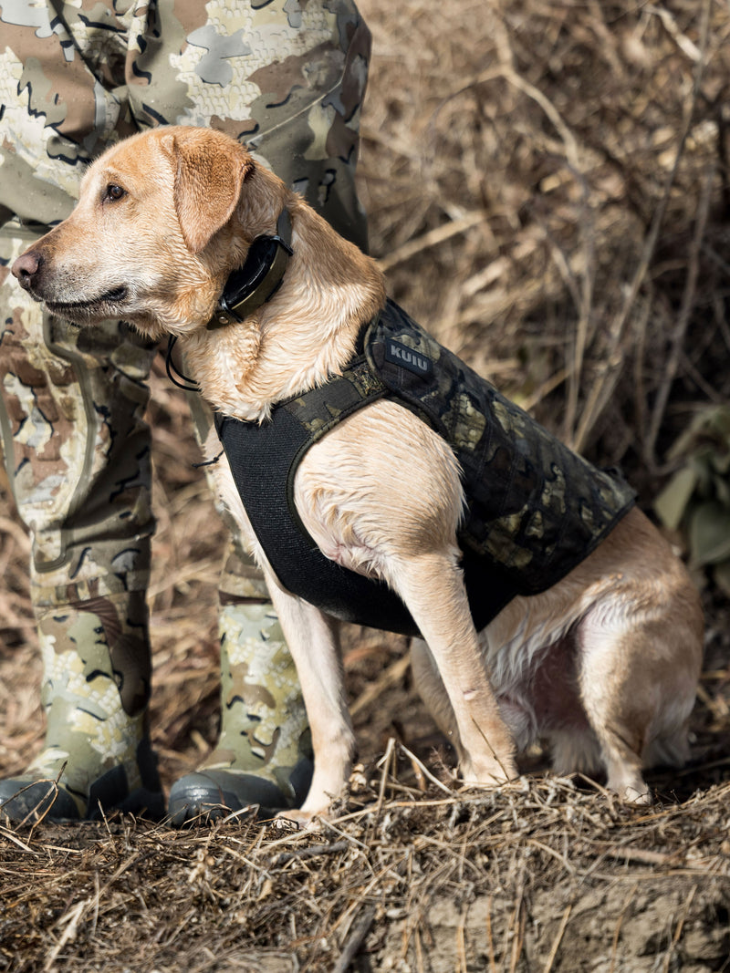 A retriever wearing a black and Valo camouflage neoprene dog vest sits outdoors on dry ground next to a person in Valo camouflage clothing.