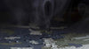 Verde Camo cloth treated with DWR repelling water.