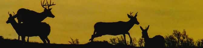 Whitetail Clothing Hunting Gear Camo KUIU